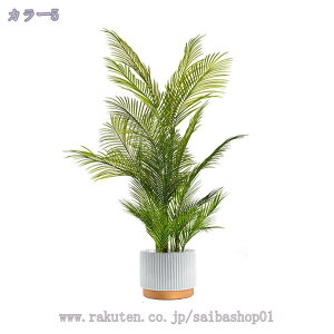 Ύ tFCNO[ ^ {  lHϗtA tFCN A   i` Vzj JXj JƏj a Cxg  rO  CeA 