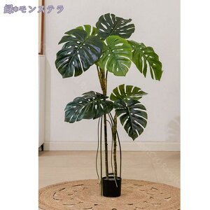 2000~OFFN[| ^ tFCNO[ lHϗtA ϗtA lH tFCNO[ CeA  i`Abv sv 엿sv ͂Ȃ lHϗtA tFCN