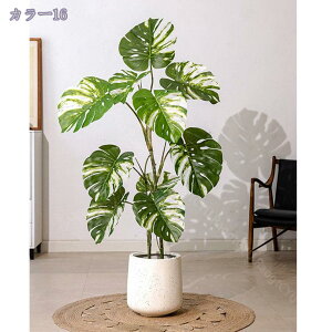 1000~OFFN[| tFCNO[ ϗtA  ^  IV 킢   JXj JƏj ItBX rO ze [ JCC A CeA i`