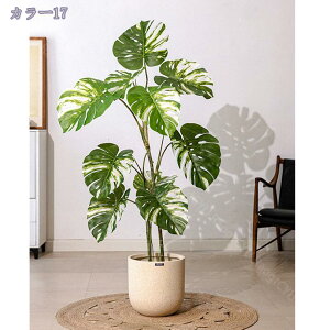 2000�~OFF�N�[�|�� �t�F�C�N�O���[�� �ϗt�A�� ���� ��^ ������� �I�V���� ���킢�� ������ ������ �J�X�j�� �J�Əj�� �I�t�B�X ���r���O �z�e�� ���[�� �J���C�C ���A�� �C���e���A �i�`��