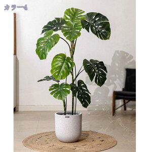 2000~OFFN[| ^ tFCNO[ lHϗtA ϗtA lH tFCNO[ CeA  i`Abv sv 엿sv ͂Ȃ lHϗtA tFCN