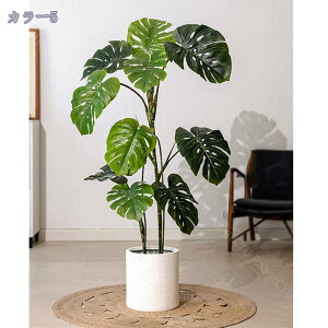 1000~OFFN[| tFCNO[ ϗtA  ^  IV 킢   JXj JƏj ItBX rO ze [ JCC A CeA i`