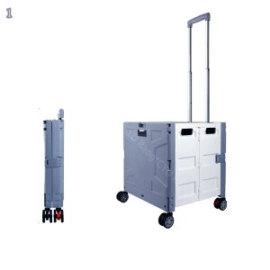 Rei 65L RpNg LX^[t ӂȂ JS ItBX q _ A ЂȍՂ hЗp  ȒPt  RpNg ړ֗   X|[c W[ 