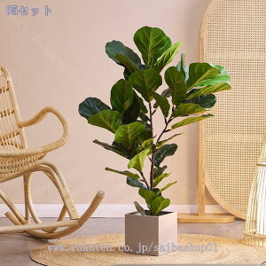 2000~OFFN[| lHϗtA ^  CeA rO ItBX  JtF R[i[p  Xܑ tFCNO[ t  i JƏj Vzj Mtg t