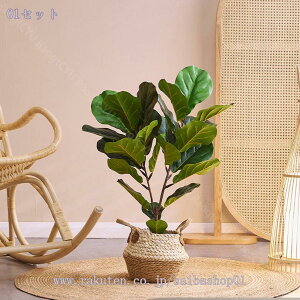 tFCNO[ ^ ϗtA p CeAO[ tBJX rO  ItBX JtF JXj t  k _  ͋C v[g 