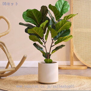 1000~OFFN[| tFCNO[ ^ ϗtA p CeAO[ tBJX rO  ItBX JtF JXj t  k _  