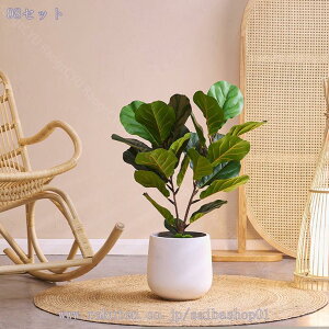 1000~OFFN[| tFCNO[ tBJX [^ ^ ϗtA  rO t CeAO[  k _ R[i[ Xܗp v[gΉ i`