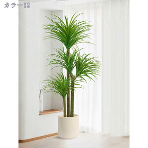 1000~OFFN[| lHϗtA ^ A CeA  IV lH A u Ύ lHϗt tFCNO[ t  i JXj JƏj Mtg