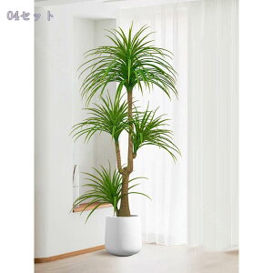 1000�~OFF�N�[�|�� �l�H�ϗt�A�� ��^ ���A�� �C���e���A ������� �I�V���� �l�H���� ���A�� ���u�� ��Ύ� �l�H�ϗt�� �t�F�C�N�O���[�� ���t�� ������� �������i �J�X�j�� �J�Əj�� �M�t�g