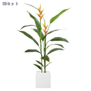 lHϗtA ^ p tFCNvg CeAO[ gsJ tAO[ t  rO  ItBX k  ϗtA MtgΉ 1.6M Raog