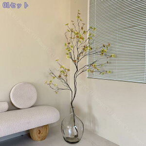 2000~OFFN[| tFCNO[ CeAO[ ^ lHA  ϗtA hE_ccW rO ԑ  i` sv k [t^Cv lHA