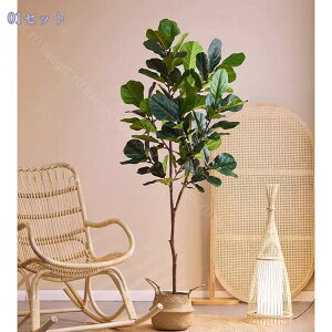 1000~OFFN[| ^ tFCNO[ ϗtA 0.9m t  Xܑp rO ItBX  rO Xܑ R[i[ CeAO[ Ԃ