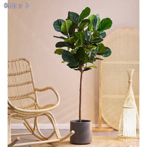 2000~OFFN[| ^  lHϗtA  CeA { ͂Ȃ i tFCNO[  rO Xܑ Cxg RȎ R[i[p  fBXv