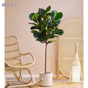 1000~OFFN[| ^  lHϗtA  CeA { ͂Ȃ i tFCNO[  rO Xܑ Cxg RȎ R[i[p  fBXv