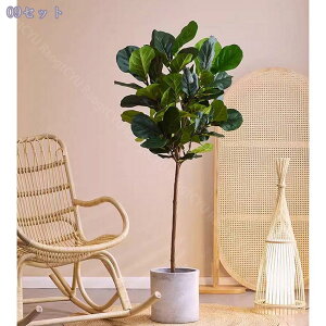 ^  lHϗtA  CeA { ͂Ȃ i tFCNO[  rO Xܑ Cxg RȎ R[i[p  fBXvC lHϗtA