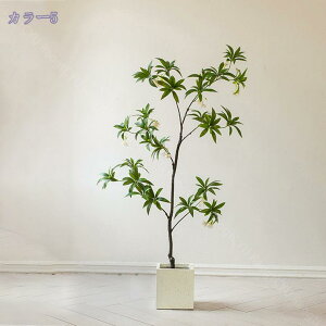 2000~OFFN[| ^ lHϗtA CeA Ξ  { tFCNO[  ׂ} @ׂȗt ͂Ȃ i`  ItBX fR[V Vzj z