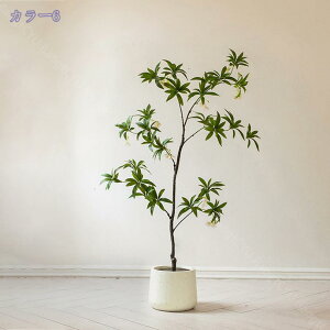 Ξ ^ lHϗtA tFCNO[  pL ChA z[fR[V  rO ItBX CeA X^h A CeAO[ N 1.5m RaogtCYU