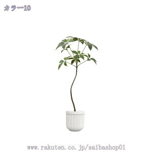 1000~OFFN[| tFCNO[ ^ oL [bp 뉀 tFCNc[ BeX^WI  JtF   Aȗt eiXsv lHϗtA { 1.