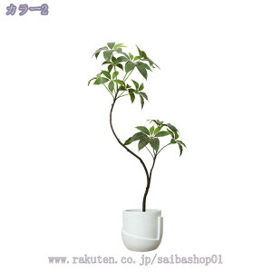 oL lHϗtA tFCNO[ ^  x_ JtF ItBX  ze RȎp ȒP sv Q̐SzȂ ͂Ȃ a i 1.6m RaogtCYU