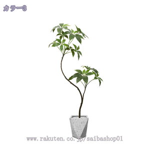 oL lHϗtA tFCNO[ ^  x_ JtF ItBX  ze RȎp ȒP sv Q̐SzȂ ͂Ȃ a i 1.6m RaogtCYU