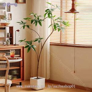 1000~OFFN[| lHϗtA  CeA ^  hE_ccW lHV| tFCNvc n  rO ItBX a_ J^ ͂Ȃ hoH 1