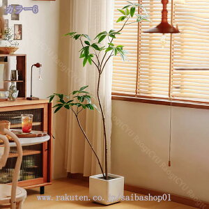 1000~OFFN[| lHϗtA  CeA ^  hE_ccW lHV| tFCNvc n  rO ItBX a_ J^ ͂Ȃ hoH 1