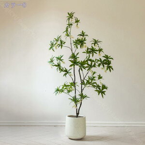 1000~OFFN[| lHϗtA ^ lHΞ  tFCNO[ CeAO[ ItBXO[ X܃fBXvC  ͂Ȃ Ƃ̒ɒu R[i[p Vzj 1