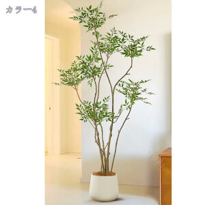 2000~OFFN[| tFCNO[  ^ ͂Ȃ CeAO[  CeA sv rO er R[i[p i ItBXO[ Vzj JƏj N