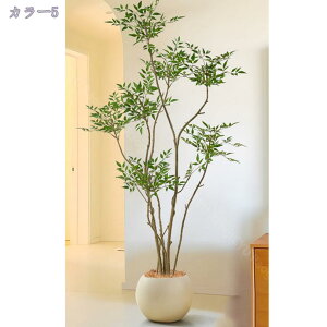 2000~OFFN[| tFCNO[  ^ ͂Ȃ CeAO[  CeA sv rO er R[i[p i ItBXO[ Vzj JƏj N