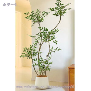 2000~OFFN[|  V| lHϗtA ^ CeA N X^hA {   ֏ i~ sv X^h i` Adグ R̕