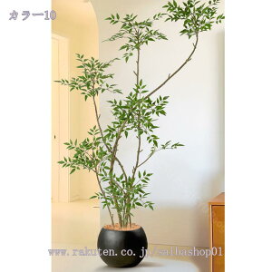  V| lHϗtA ^ CeA N X^hA {   ֏ i~ sv X^h i` Adグ R̕ RaogtCYU