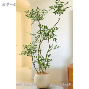 2000~OFFN[| tFCNO[ ^  lHϗtA { [bp 뉀 tFCNc[ BeX^WI  JtF  Aȗt eiXsv Mtg v