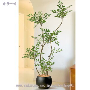  V| lHϗtA ^ CeA N X^hA {   ֏ i~ sv X^h i` Adグ R̕ RaogtCYU