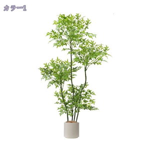 2000~OFFN[| lHV| tFCNO[ ^A  rO ItBX a_ CeAO[ X܃fBXvC i ͂Ȃ sv K Vzj J