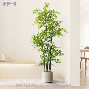 1000~OFFN[| V| lHie tFCNO[  ^ rO R[i[ er \tg i~ ͂Ȃ ho΍ ꂪȒP LÔj Mtg v[