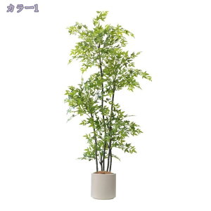 tFCNie lHϗtA CeA~ ֒I ̊ԑ ItBX h Ǝ{ݗp i ͂Ȃ lHA G߂ R[i[ɍœK lH~͐A i Vzj RaogtCYU