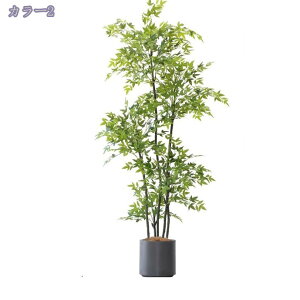 tFCNie lHϗtA CeA~ ֒I ̊ԑ ItBX h Ǝ{ݗp i ͂Ȃ lHA G߂ R[i[ɍœK lH~͐A i Vzj RaogtCYU