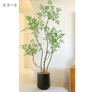 lHV| ^ tFCNO[  ItBX CeA fBXvC Xܑ \t@ ItBX Ǝ{ rO ̂юѕ y  sv i RaogtCYU