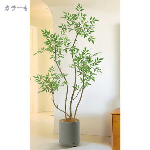 1000~OFFN[| lHV| ^ tFCNO[  ItBX CeA fBXvC Xܑ \t@ ItBX Ǝ{ rO ̂юѕ y  sv i 