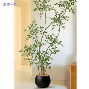 ie tFCNO[  lHϗtA ^ rO ItBX Lb`  er A Ă悤 bNXԂÂ i sv K̖ RaogtCYU