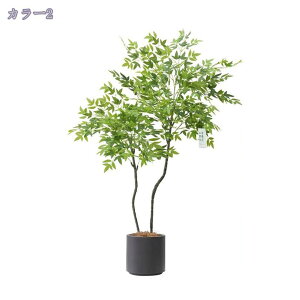 2000~OFFN[| V| lHϗtA ^ CeAO[ ~͐A tA|[` ItBX  CeA rO z[ X^hA ͂Ȃ Vzj zj 