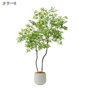 2000~OFFN[| V| lHϗtA ^ CeAO[ ~͐A tA|[` ItBX  CeA rO z[ X^hA ͂Ȃ Vzj zj 