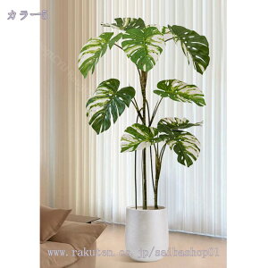 2000~OFFN[| Xe lHϗtA ^   CeA i` RȎp ItBXΉ Xܑ  Ƃi JXj JƏj Ԏd؂ sv v