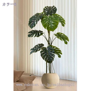 2000~OFFN[|  lHϗtA  CeA ^  n  rO ItBX a_ J^ ͂Ȃ  ItBX CeA XܑfBXvC {