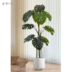 2000~OFFN[| Xe lHϗtA ^   CeA i` RȎp ItBXΉ Xܑ  Ƃi JXj JƏj Ԏd؂ sv v