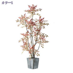 V|  lHϗtA ^ { ͂Ȃ A X^h rO ItBX  R[i[ɍœK CeAO[ Vzj JƏj tFCNO[ RaogtCYU