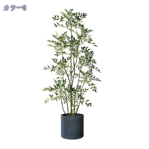 2000~OFFN[| V|  lHϗtA ^ { ͂Ȃ A X^h rO ItBX  R[i[ɍœK CeAO[ Vzj JƏj tFCNO[