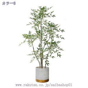 2000~OFFN[| tFCNO[  ^ ͂Ȃ CeAO[  CeA sv rO er R[i[p i ItBXO[ Vzj JƏj 