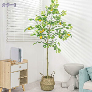 1000~OFFN[|  lHϗtA { ͂Ȃ ^A  i Mъϗt CeA  rO ItBX X܃fBXvC ƖpΉ JXj JƏj Vzj