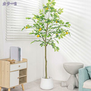 1000~OFFN[| tFCN lHϗtA CeA  ̊ԑ ItBX h Ǝ{ݗp A i ͂Ȃ lHA G߂ R[i[ɍœK lH~͐A Vzj R